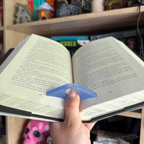 Blue page holder